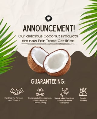 WhatsApp Image 2025-02-12 at 14.30.00_e1e9234b